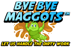 BYE BYE MAGGOTS