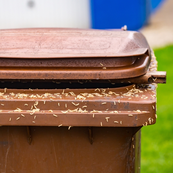 TRASH BIN CLEANING